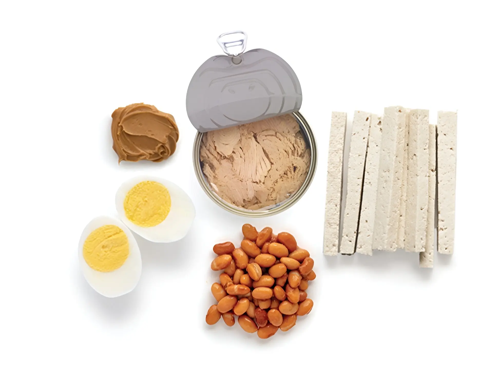 Protein Foods