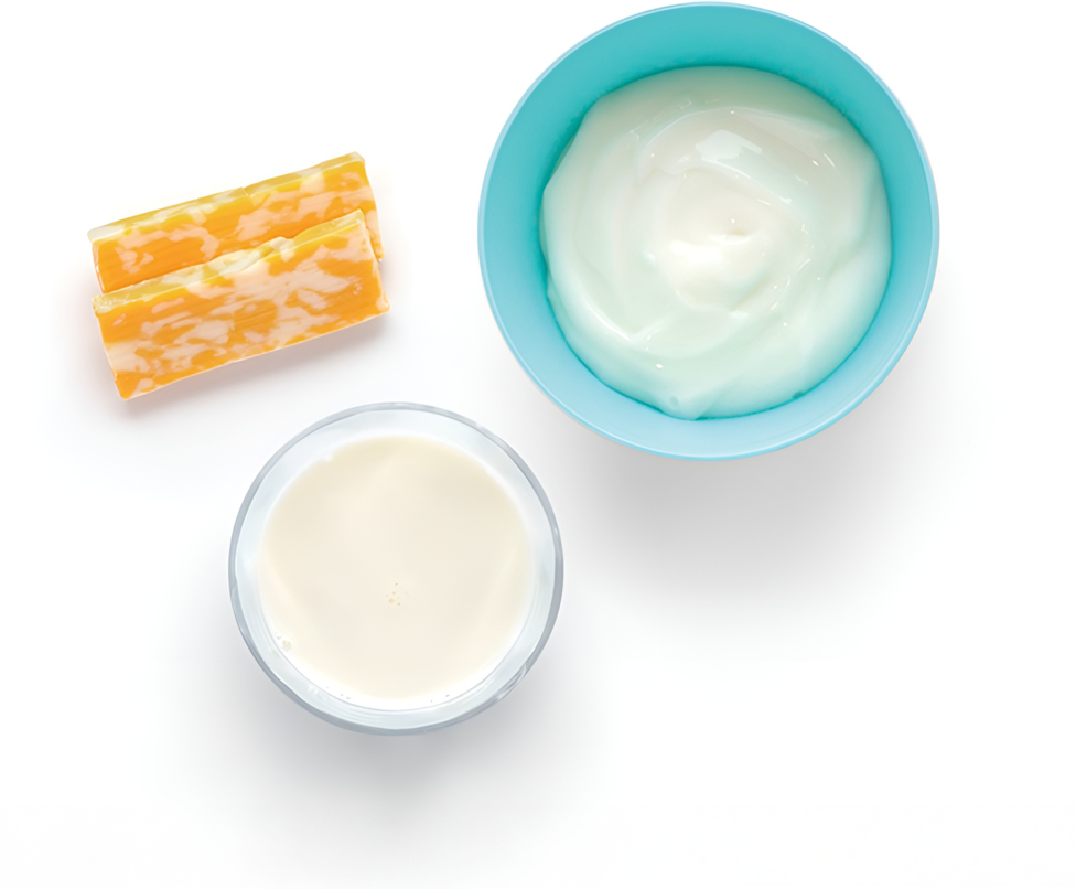 Assorted dairy ingredients