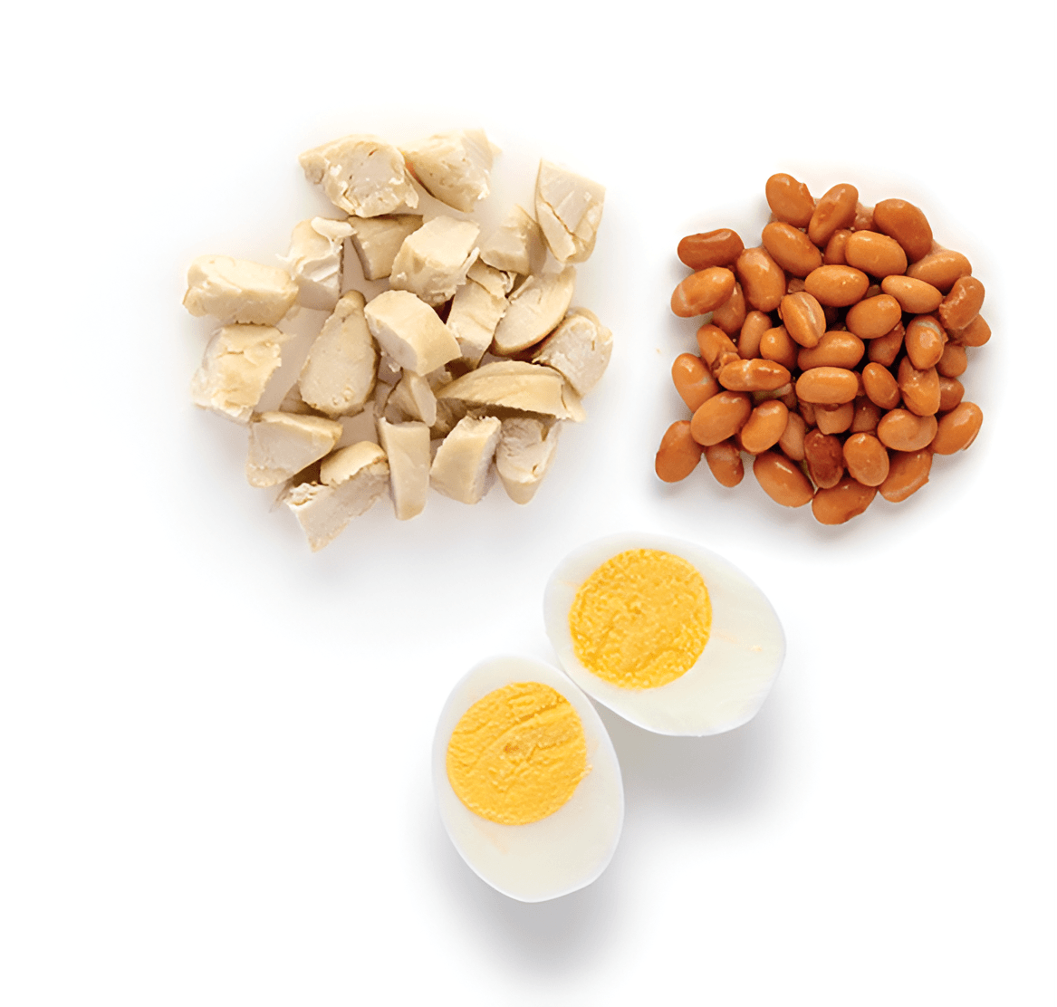Chicken, beans, and boiled egg portions arranged neatly
